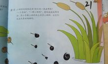 小蝌蚪找妈妈看图写话