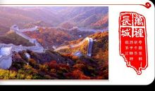 我骄傲，我是一个勇敢的人