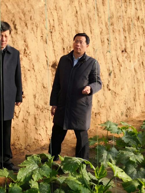 热烈的马车真爱在中国