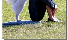 与动物和谐相处