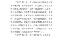 我学会了弹古筝