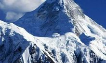 叩动心灵的声音