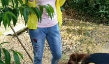 我们班的那些事