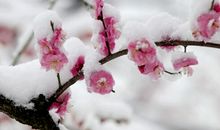 成长中的一缕芬芳