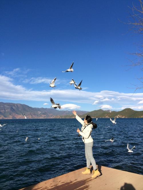 hai海之旅