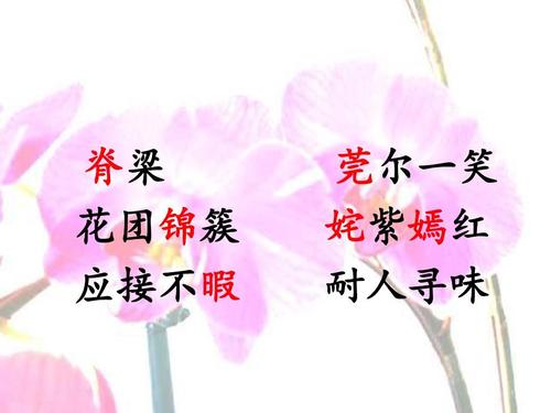 自己的花朵是别人想念的事