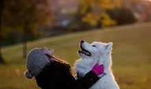 陪伴宠物的乐趣