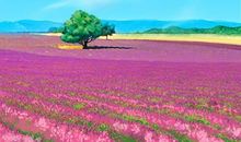 幸福伴希望来临