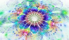 彩虹在风中飘_1200字