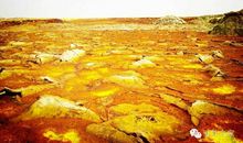 那是一次惊心动魄的尝试