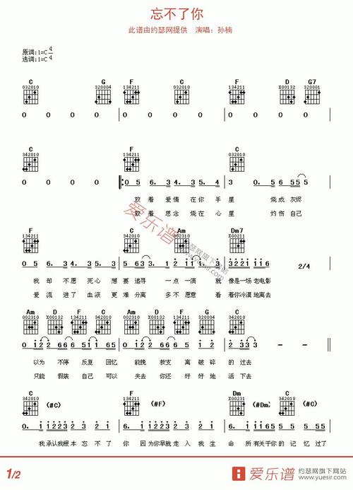 不能忘记你的帮助
