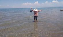 一次难忘的竞选