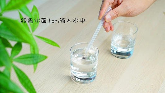 第一次科学实验