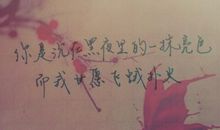 生活中那一抹亮色