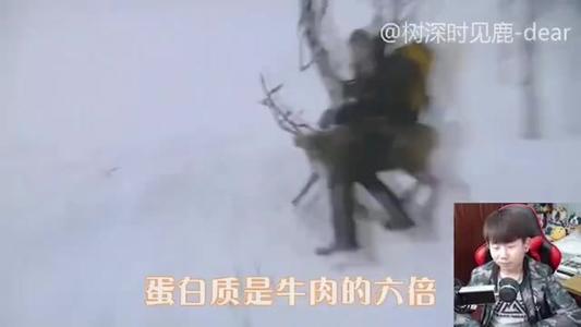 在烈日下的爱