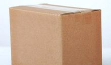 纸盒子里的争论