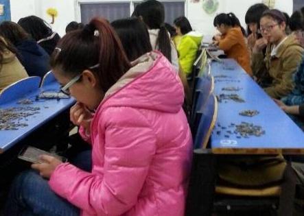 有趣的向日葵种子比赛