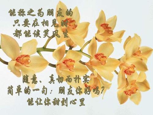 让真诚进入灵魂