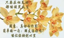 让真诚走进心灵