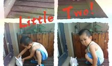 我爱我家的小白兔