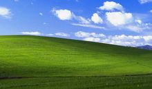 我是一片大草原