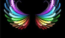 我多想有双翅膀