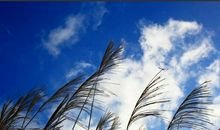 拾起温暖的点滴