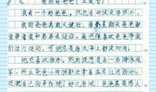 我的爸爸一年级作文