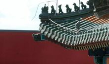 咬破命运那层茧