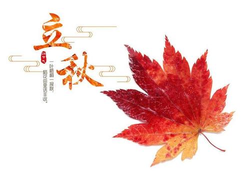 很高兴再次见到秋天