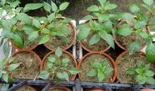 收获的感觉真好