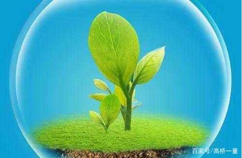 蚂蚁漂流童话故事作文