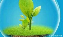 蚂蚁漂流记童话作文