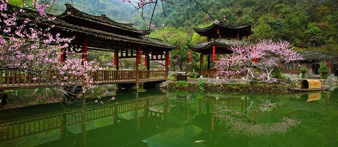 梦桃花盛开的土地