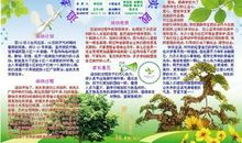 我追梦，我成长