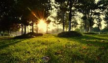 你是我心中的一缕阳光