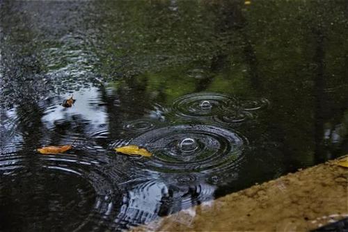 成都雨