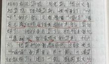 厨房是个音乐厅100字作文