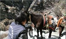 这次我没有半途而废