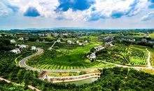 迷人的乡村田野