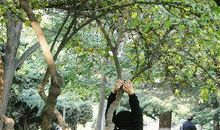 我们身边的不文明现象