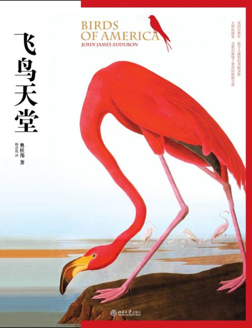 飞鸟天堂
