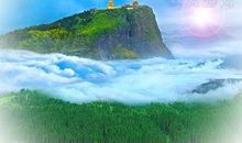 难忘的峨眉山之旅