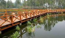 你安静的样子真美