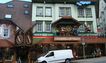 美丽的布谷钟小镇