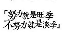 志同道合的朋友