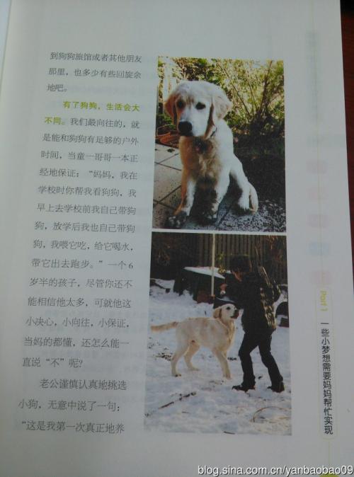 牧羊犬