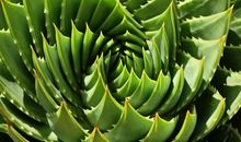 对大自然的了解