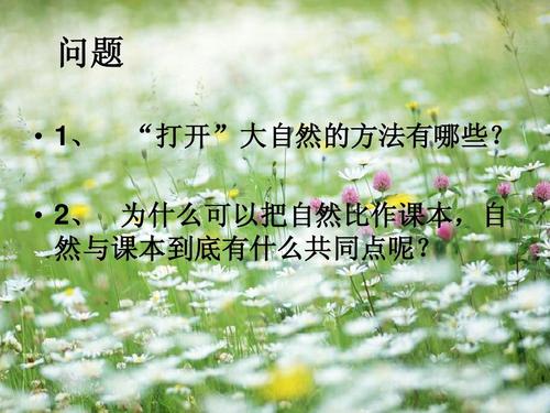 中文课审