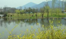 又是一年芳草绿